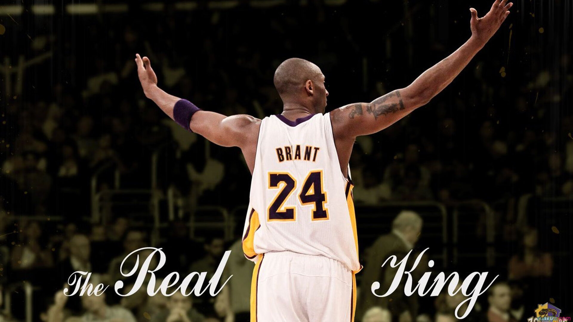 2026年亚冠联赛决赛 中超球队时隔多年再度问鼎亚洲